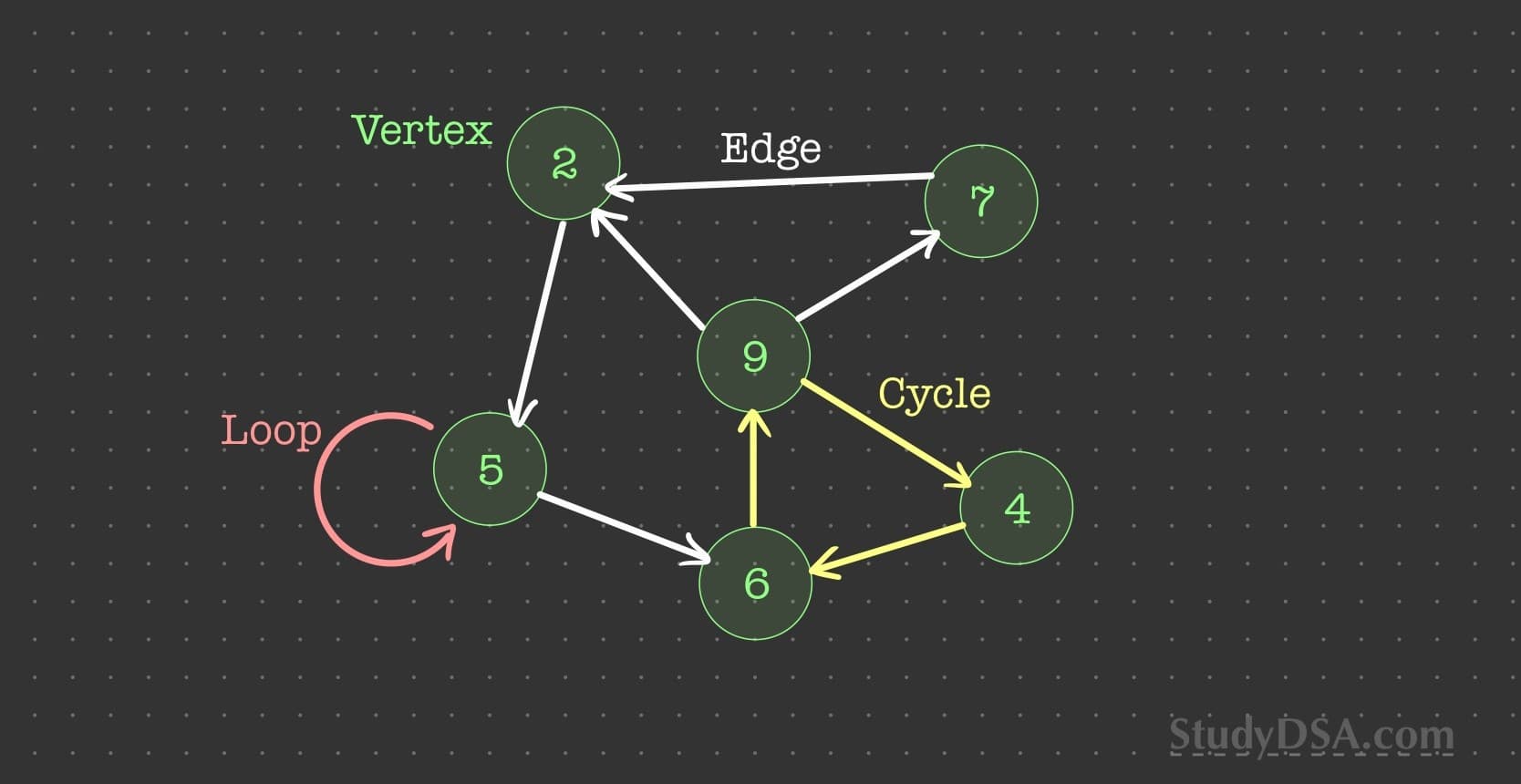 Graph key terms like vertices, edges, loops, and cycles